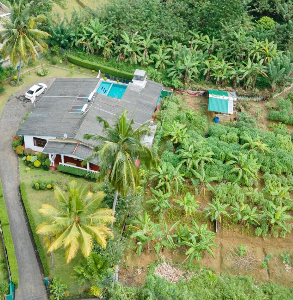Surveyor'S Residence Bungalow Kandy Extérieur photo